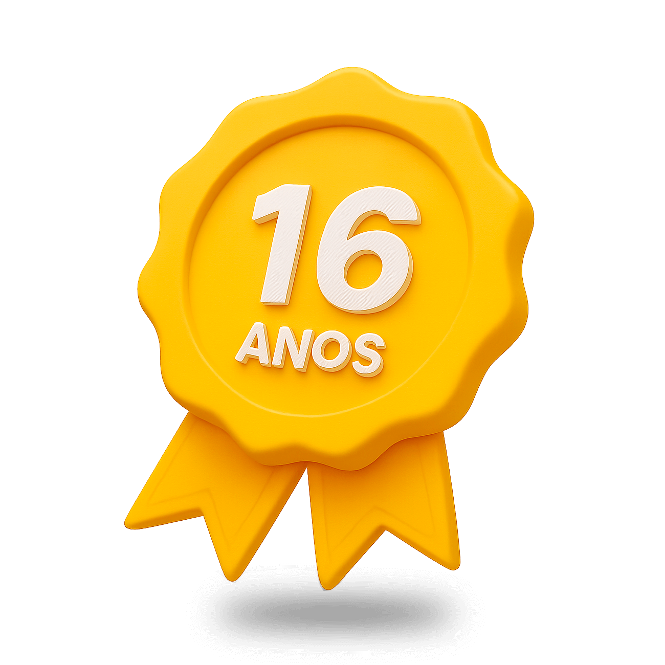 16 Anos de Experiência